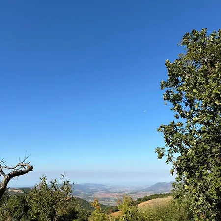 Mountain View * Vavdhos